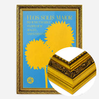 Flos Solis maior Sunflower Flower Market print