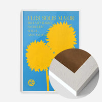 Flos Solis maior Sunflower Flower Market print