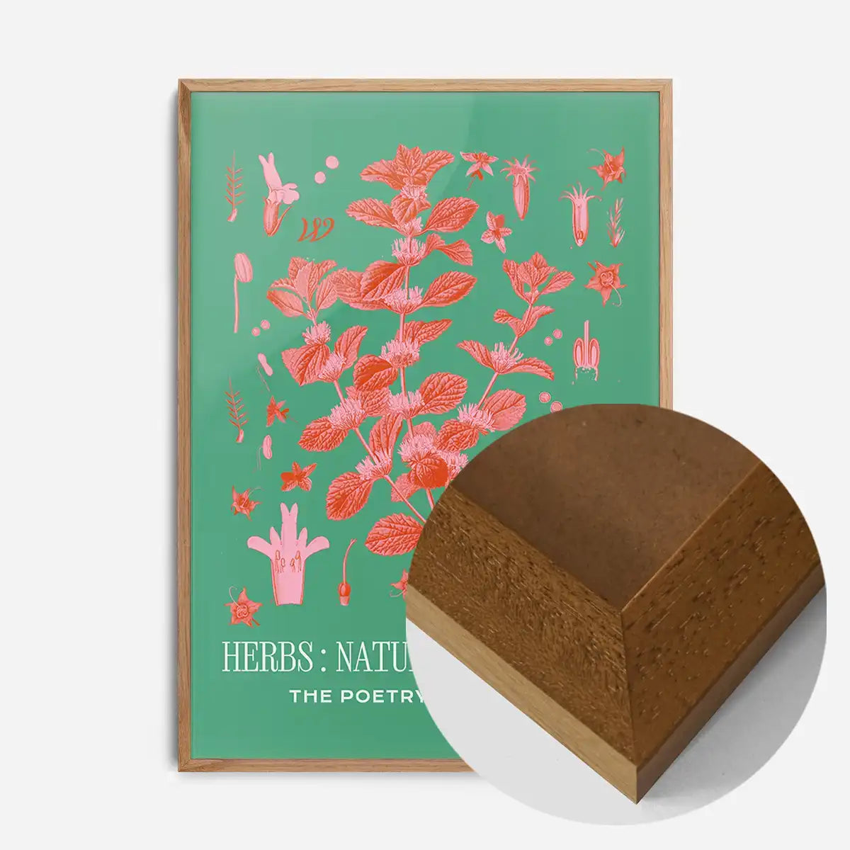 Poetry of Plants Pink & Green Botanical Print
