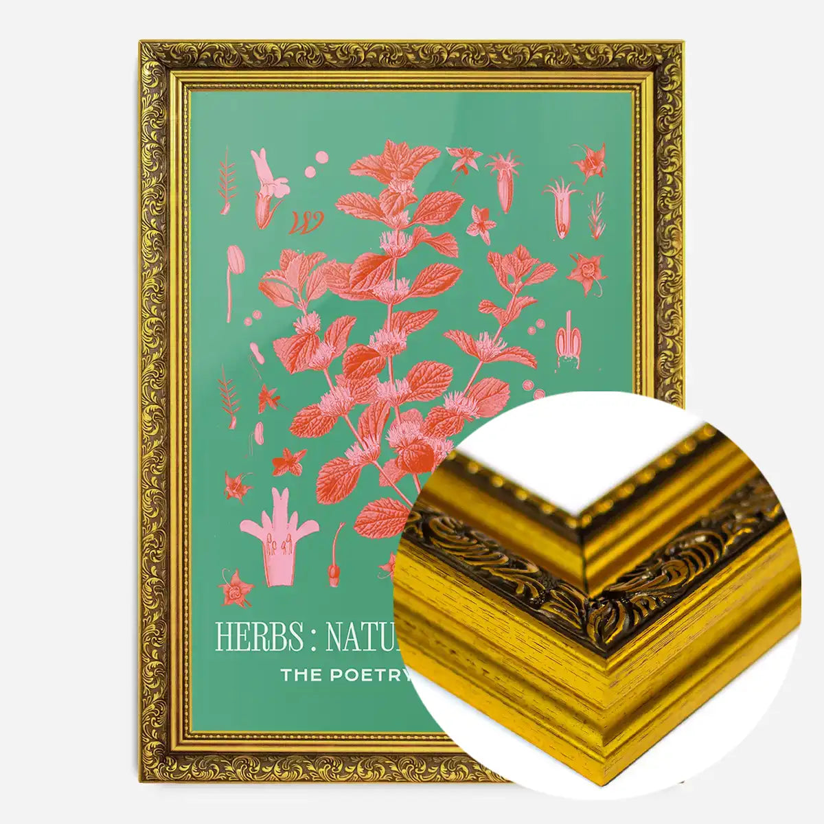 Poetry of Plants Pink & Green Botanical Print