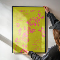 Common Herbs Amsterdam Market Poster Print