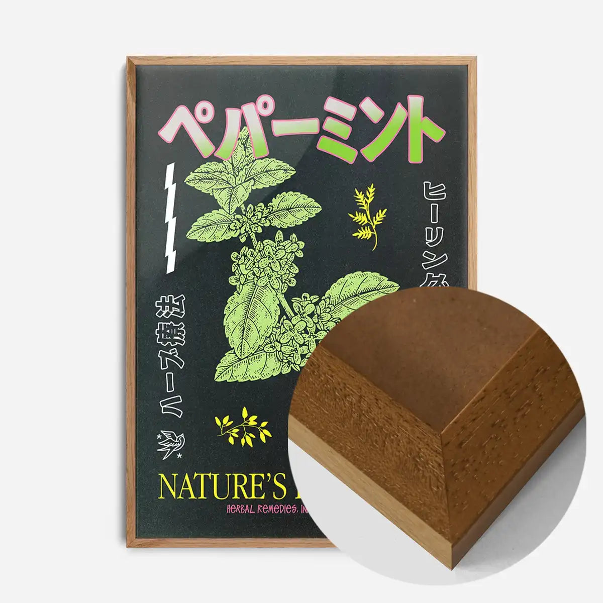 Japanese Nature's Pharmacy Poster Print