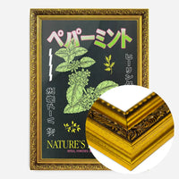 Japanese Nature's Pharmacy Poster Print