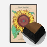 Flora Magnifica Sunflower Poster Print