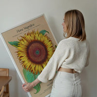 Flora Magnifica Sunflower Poster Print