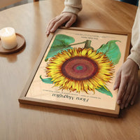 Flora Magnifica Sunflower Poster Print