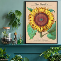 Flora Magnifica Sunflower Poster Print