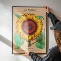 Flora Magnifica Sunflower Poster Print