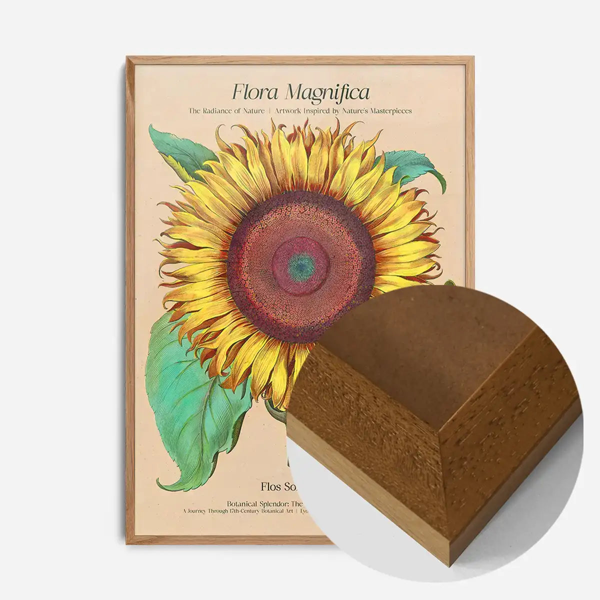 Flora Magnifica Sunflower Poster Print