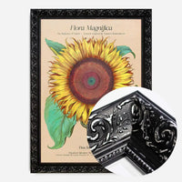 Flora Magnifica Sunflower Poster Print