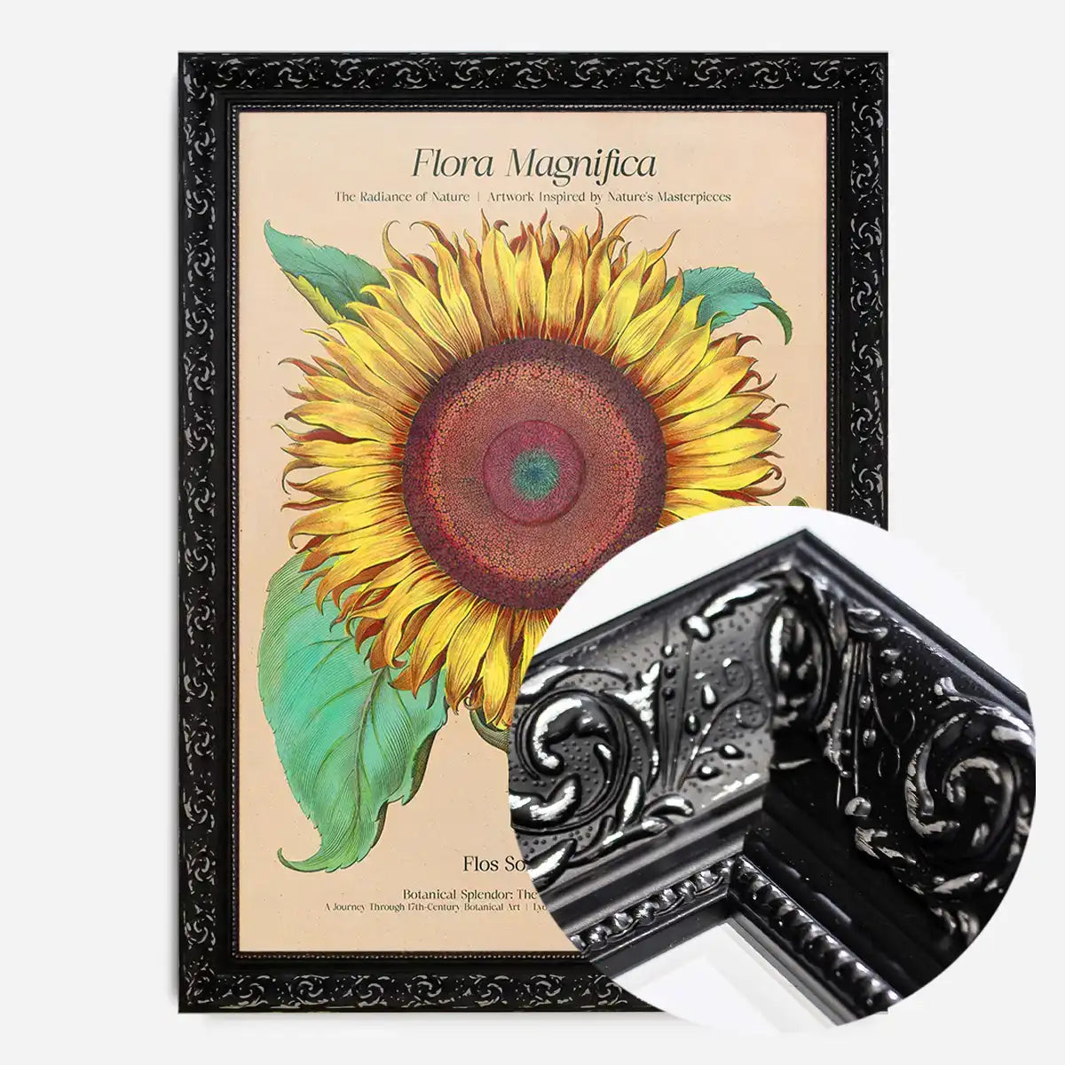 Flora Magnifica Sunflower Poster Print