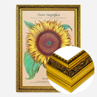 Flora Magnifica Sunflower Poster Print