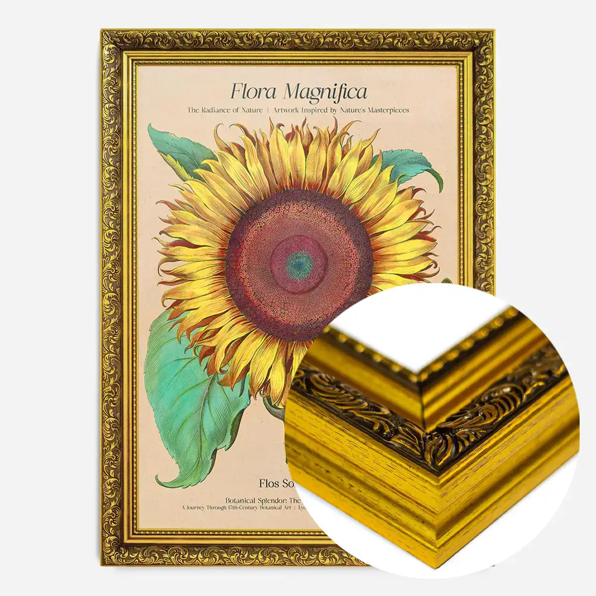 Flora Magnifica Sunflower Poster Print