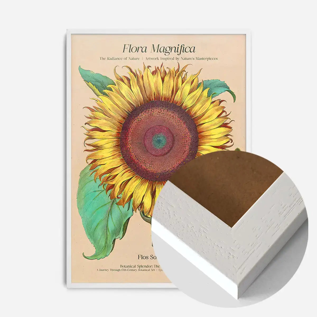 Flora Magnifica Sunflower Poster Print