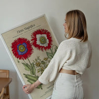 Flora Magnifica Poppy Poster Print