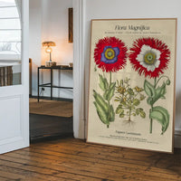 Flora Magnifica Poppy Poster Print