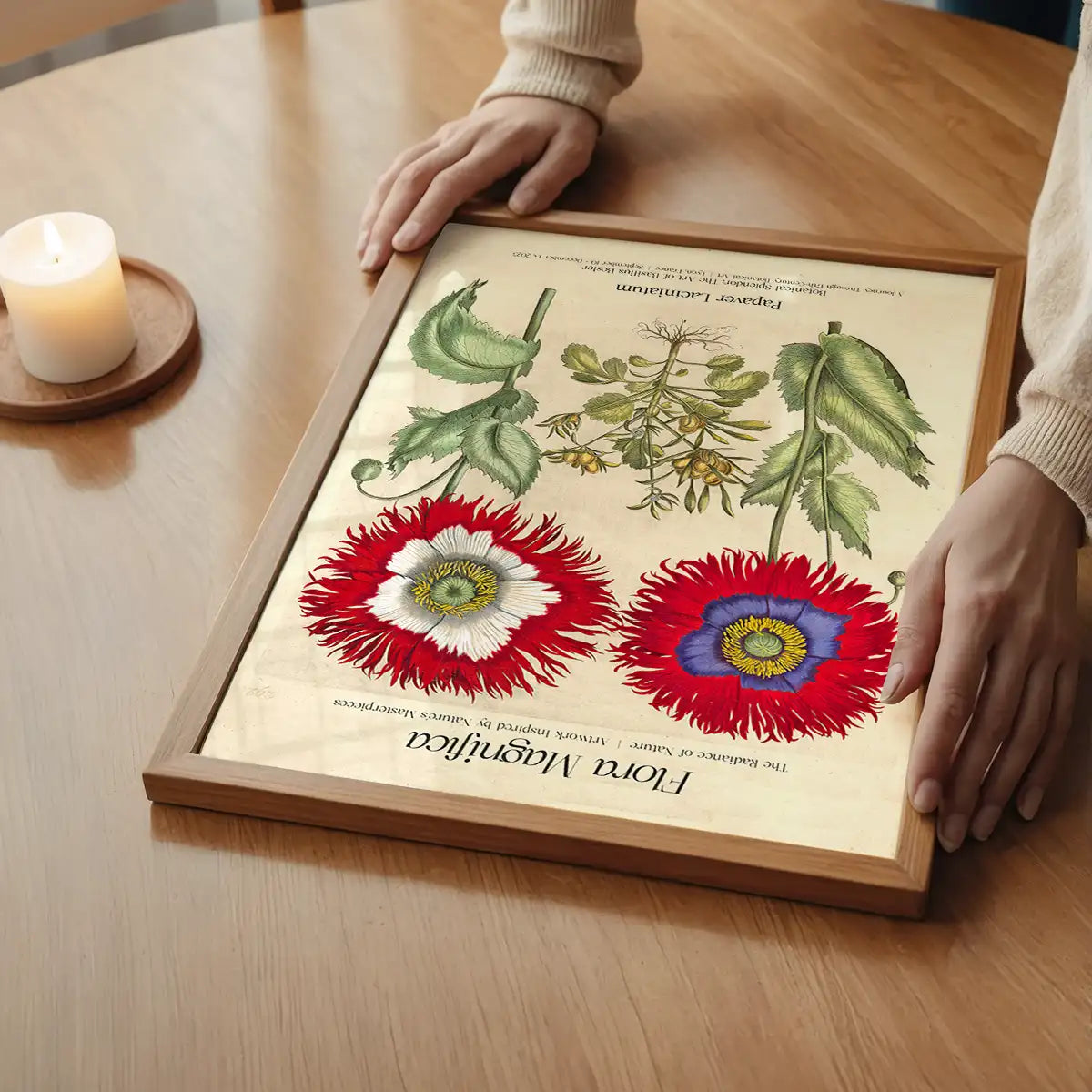 Flora Magnifica Poppy Poster Print