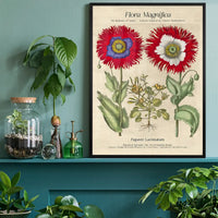 Flora Magnifica Poppy Poster Print