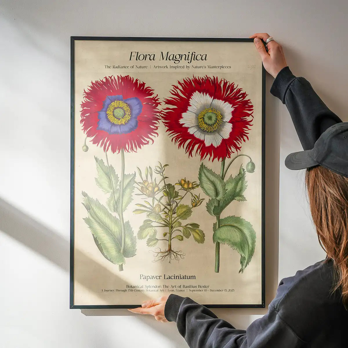 Flora Magnifica Poppy Poster Print