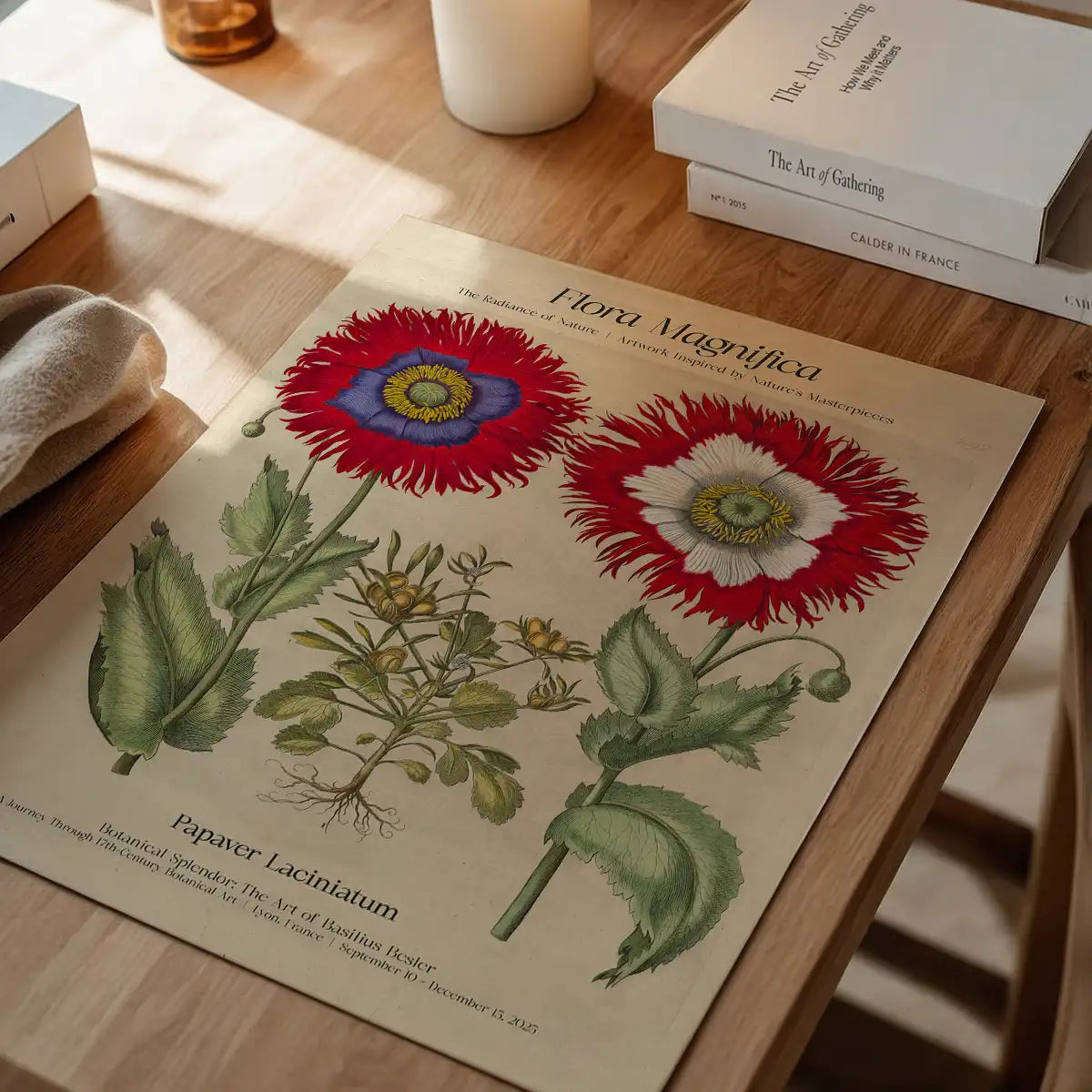 Flora Magnifica Poppy Poster Print