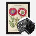 Black Ornate Frame