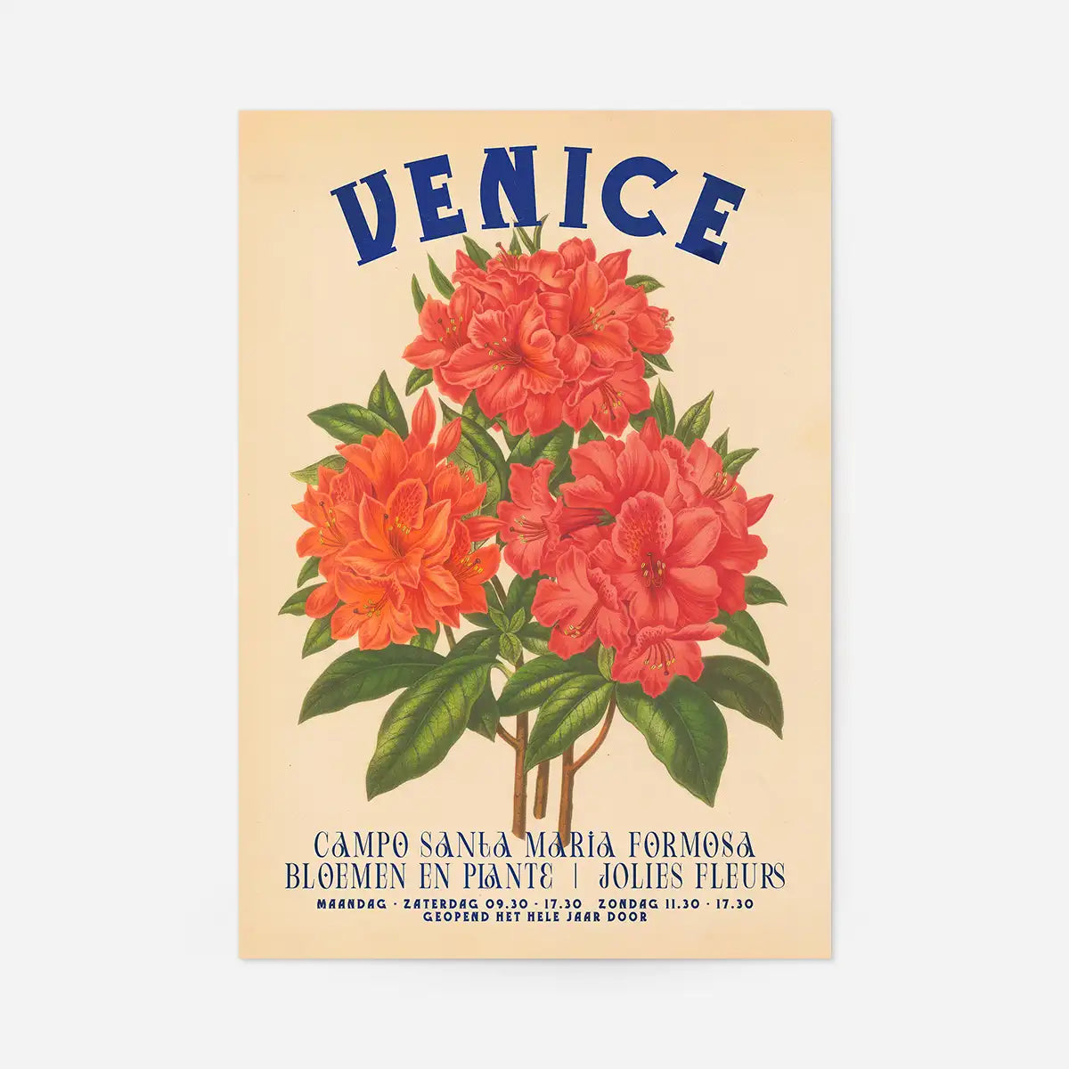 Venice Vintage Bouquet Floral Poster Print