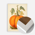 White Wood Frame