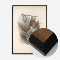 Black Wood Frame