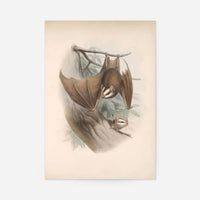 Vintage Bats Halloween Print