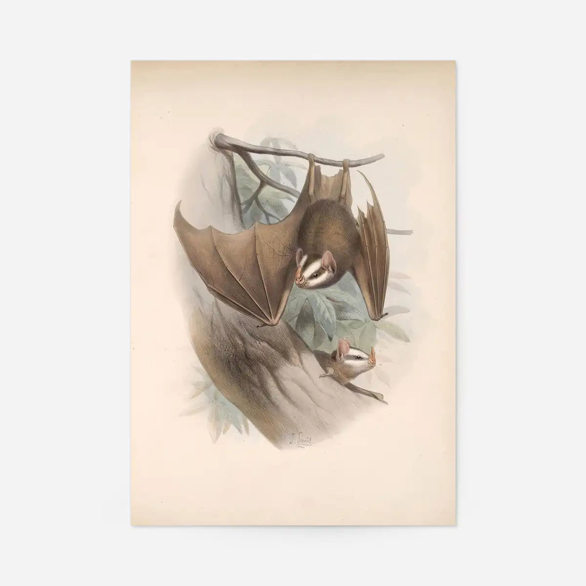Vintage Bats Halloween Print