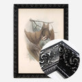 Black Ornate Frame