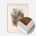 White Wood Frame