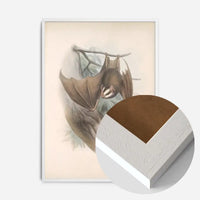 Vintage Bats Halloween Print
