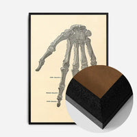 Vintage Medical Skeleton Hand Illustration Print