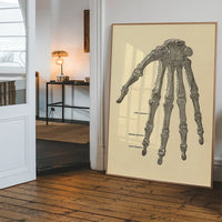 Vintage Medical Skeleton Hand Illustration Print