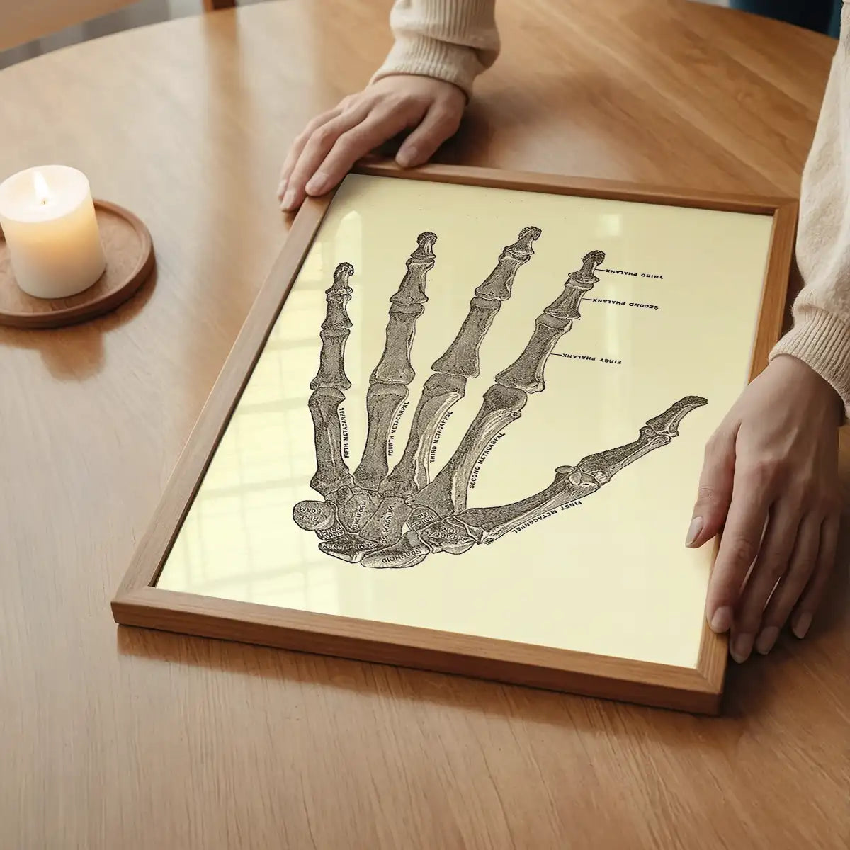 Vintage Medical Skeleton Hand Illustration Print