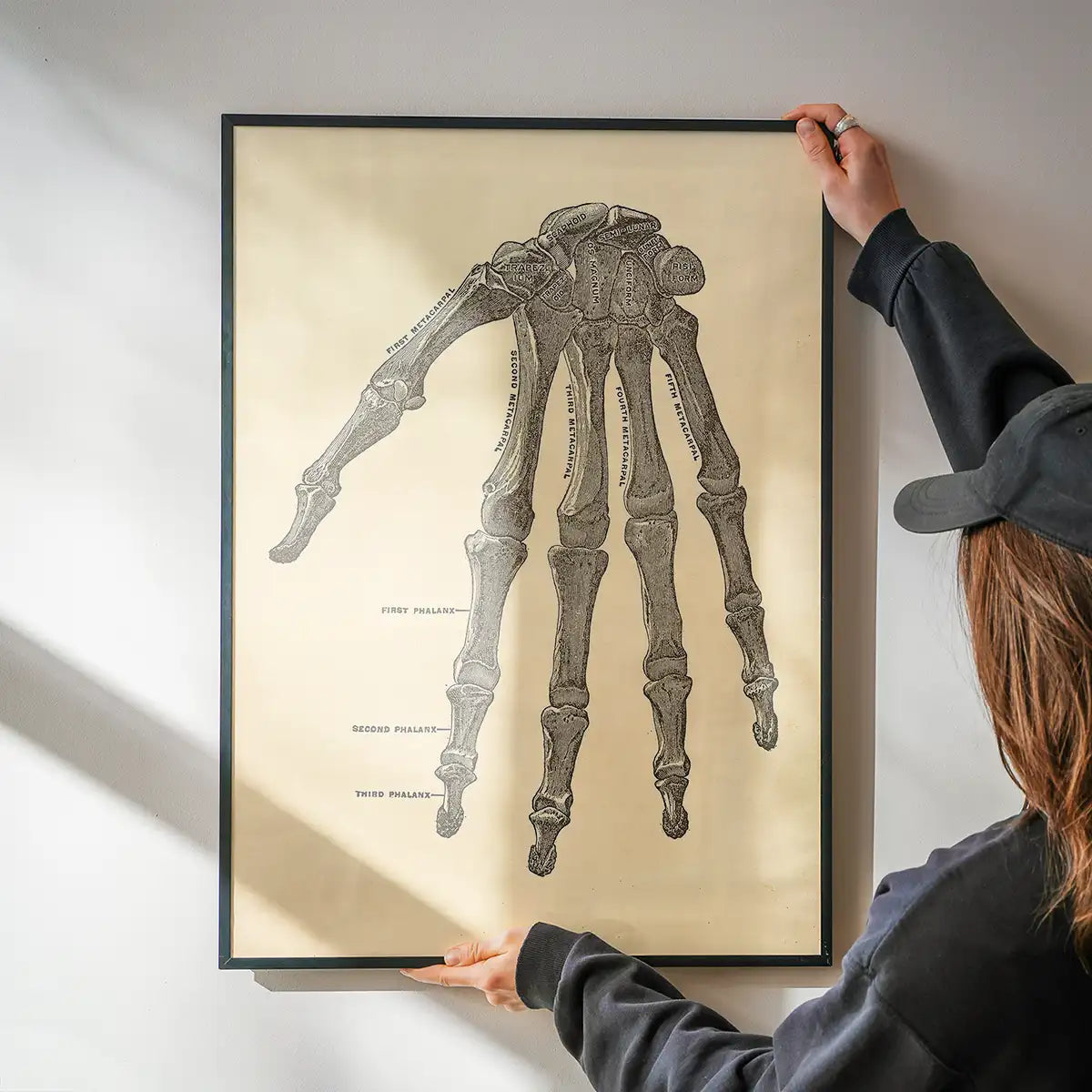 Vintage Medical Skeleton Hand Illustration Print