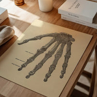 Vintage Medical Skeleton Hand Illustration Print