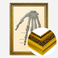 Vintage Medical Skeleton Hand Illustration Print