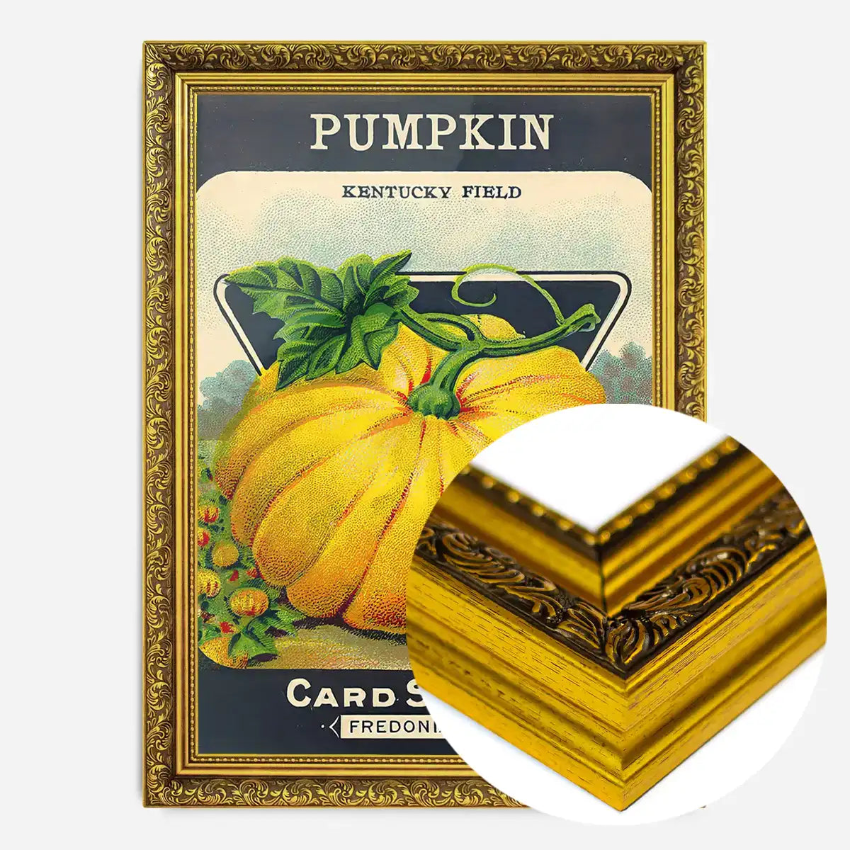 Vintage Pumpkin Kentucky Field Poster Print