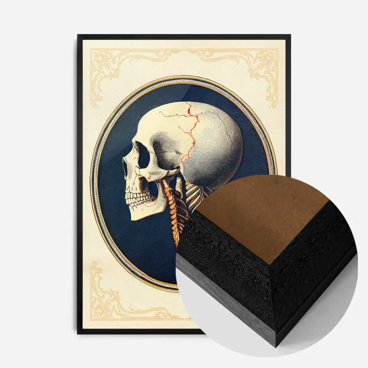 Vintage Skull Medical Diagram Side View Print