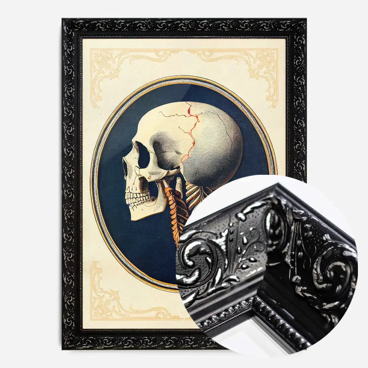 Vintage Skull Medical Diagram Side View Print