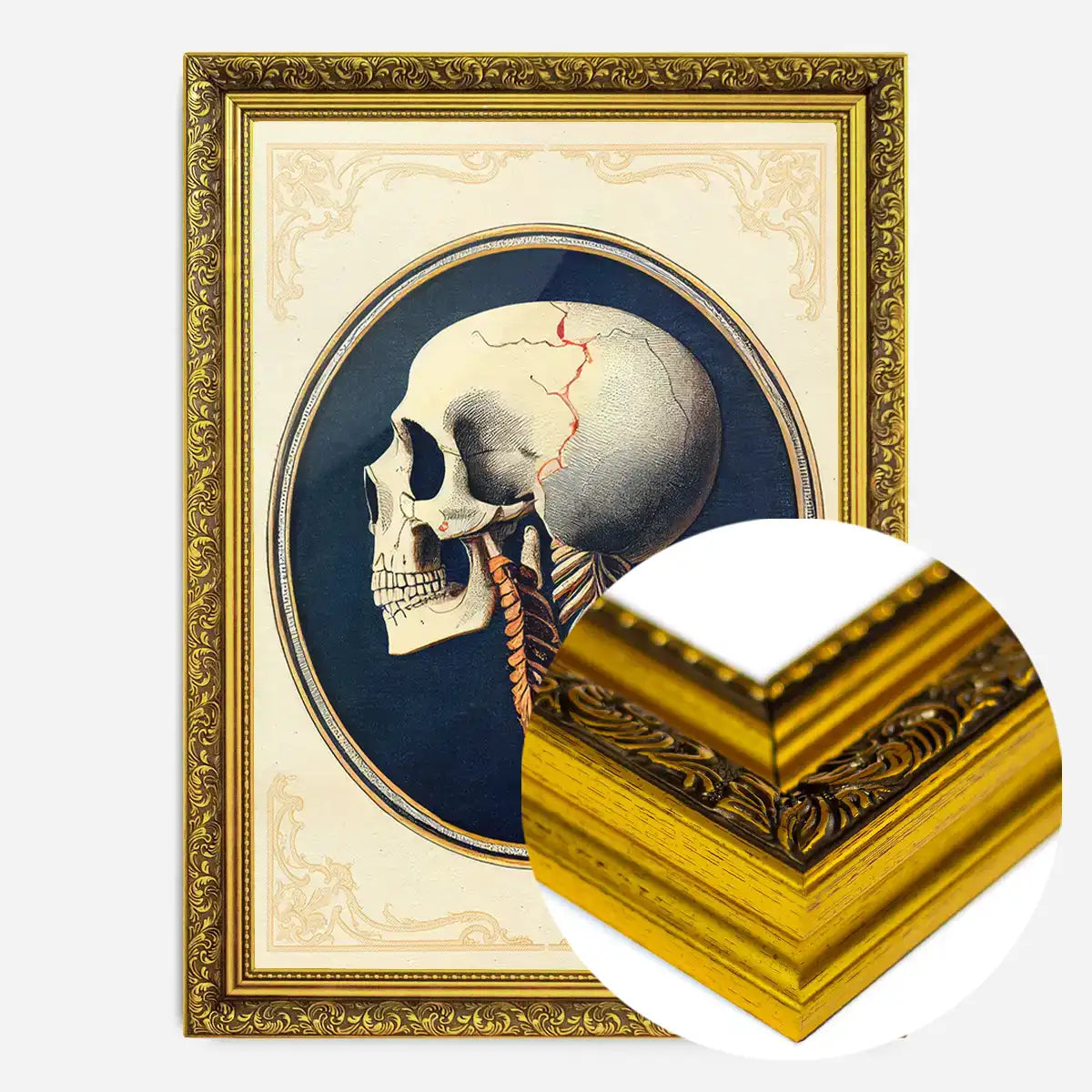 Vintage Skull Medical Diagram Side View Print