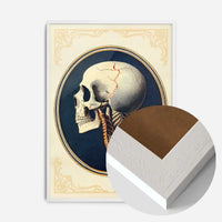 Vintage Skull Medical Diagram Side View Print