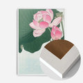 White Wood Frame