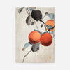 Nuthatcher atop Persimmons by Ohara Koson