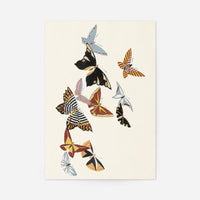 Butterflies painting by Kamisaka Sekka from 1908