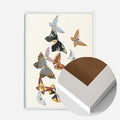 White Wood Frame