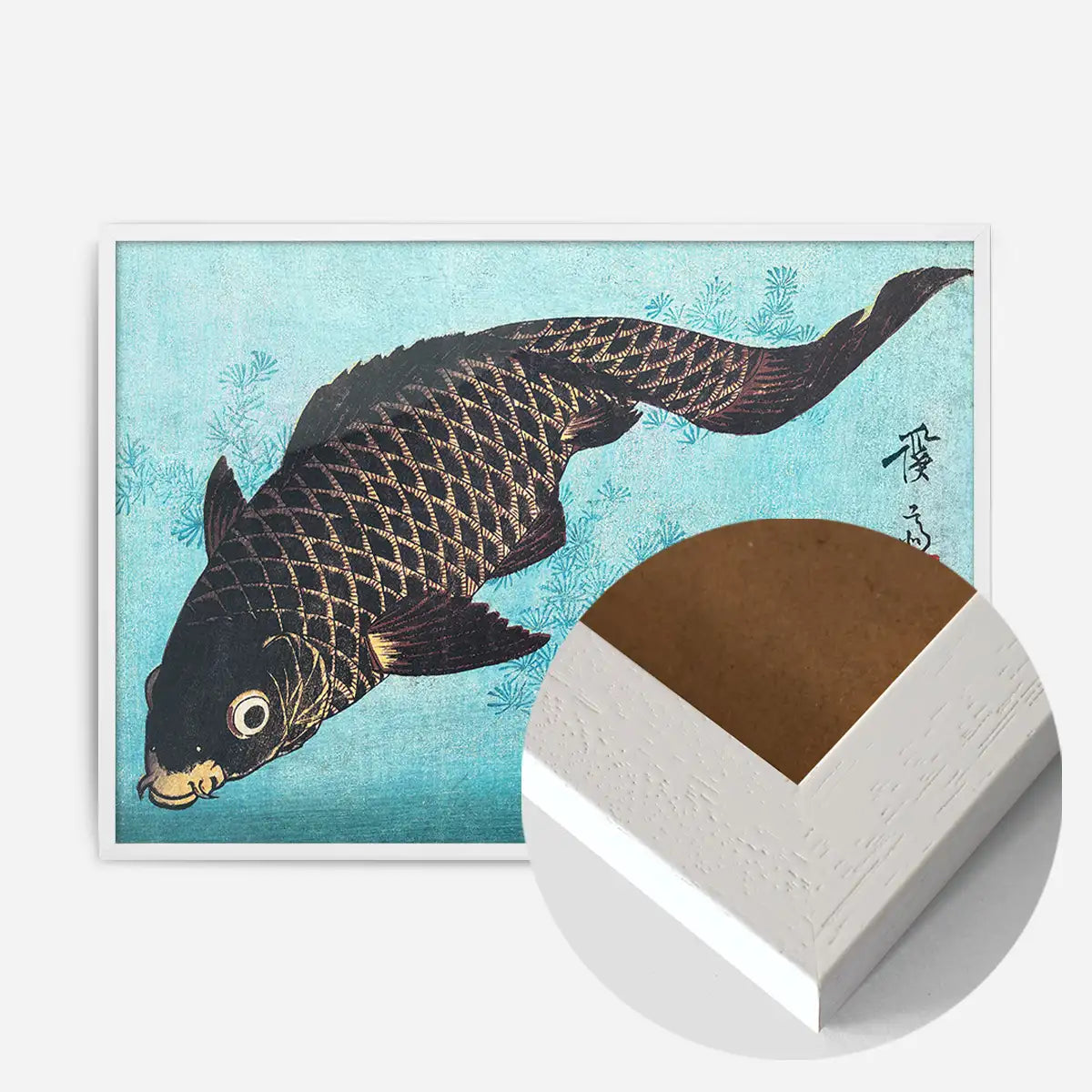 Koi Carp Japanese fish illustration by Keisai Eisen