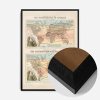 Zoological map of the distribution of animals art print